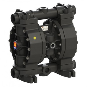 Pompa pneumatica a doppia membrana Ptfe 1