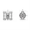 Pompa pneumatica a doppia membrana Ptfe 11/4